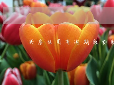 买房信用有逾期能贷款吗 买房信用有逾期能贷款吗