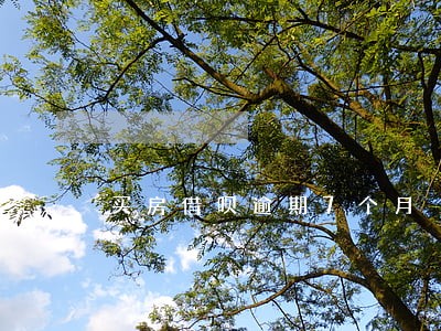 买房借呗逾期7个月 买房借呗逾期7个月