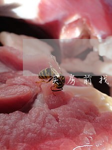买房前找房产律师 买房前找房产律师