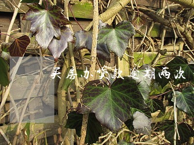买房办贷款逾期两次