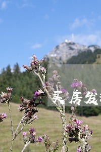 买房发现信用逾期 买房发现信用逾期