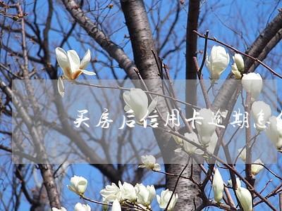 买房后信用卡逾期怎么办 买房后信用卡逾期怎么办