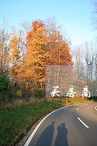买房商贷信用卡逾期2 买房商贷信用卡逾期2