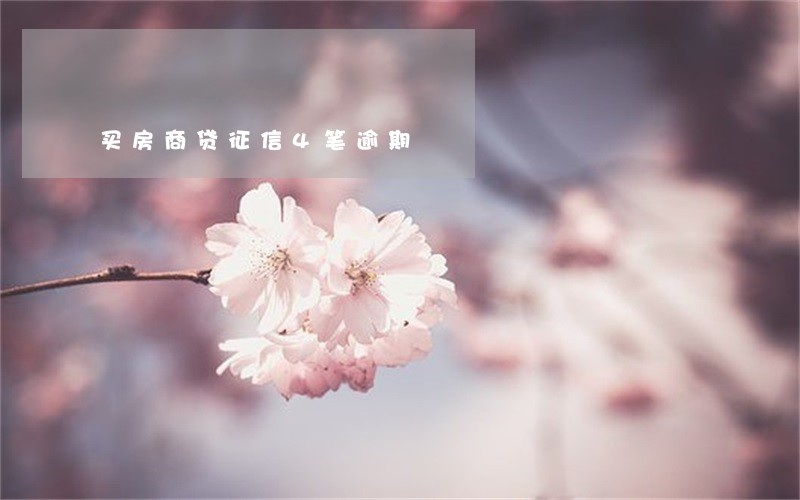 买房商贷征信4笔逾期 买房商贷征信4笔逾期
