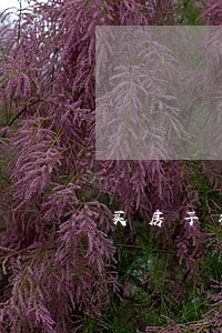 买房子征信逾期7次按揭下不来 买房子征信逾期7次按揭下不来