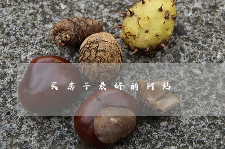 买房子最好的网站 买房子最好的网站