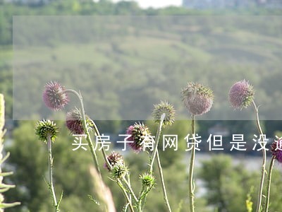 买房子有网贷但是没逾期会影响么 买房子有网贷但是没逾期会影响么