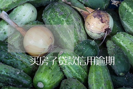 买房子贷款信用逾期