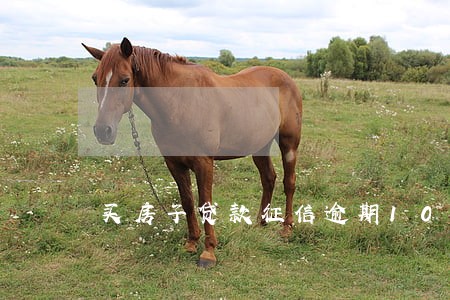 买房子贷款征信逾期10次 买房子贷款征信逾期10次