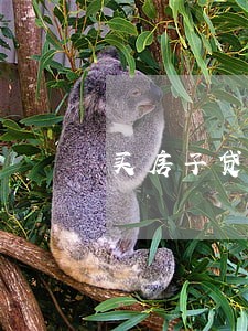 买房子贷款逾期两天 买房子贷款逾期两天