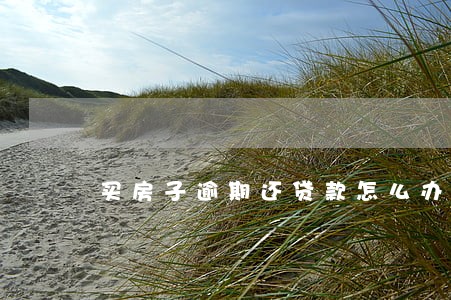 买房子逾期还贷款怎么办 买房子逾期还贷款怎么办