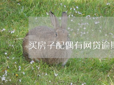 买房子配偶有网贷逾期 买房子配偶有网贷逾期