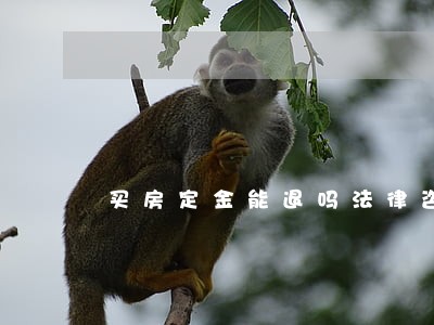 买房定金能退吗法律咨询