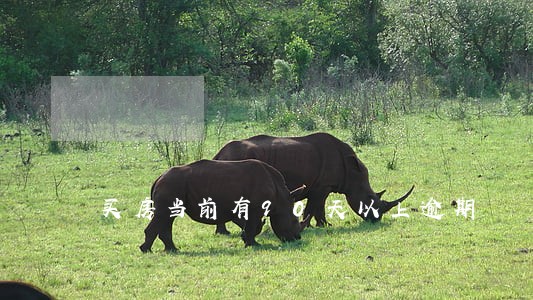 买房当前有90天以上逾期 买房当前有90天以上逾期