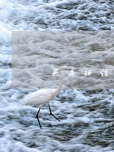 买房征信有一次逾期6 买房征信有一次逾期6