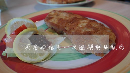 买房征信有一次逾期能贷款吗 买房征信有一次逾期能贷款吗