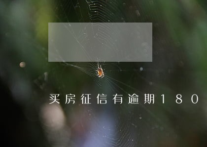 买房征信有逾期180天