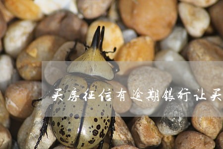 买房征信有逾期银行让买理财