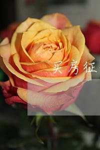 买房征信逾期17次怎么买房 买房征信逾期17次怎么买房