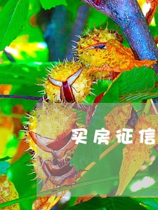 买房征信逾期40次 买房征信逾期40次