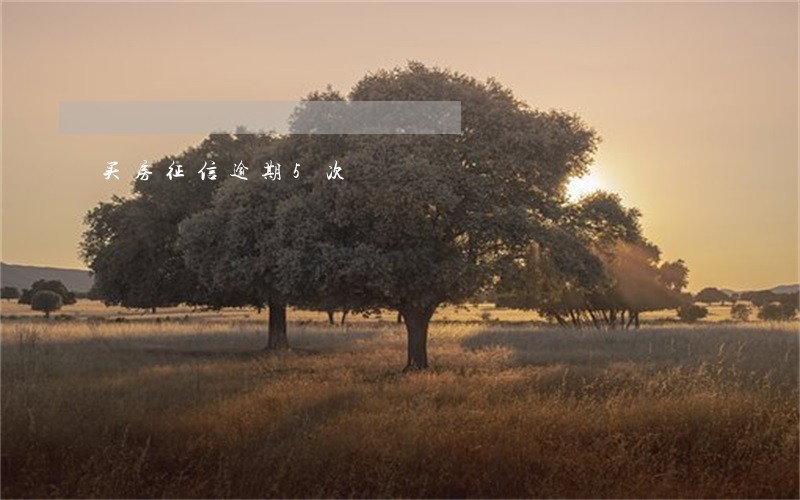 买房征信逾期5次