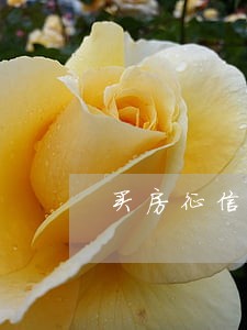 买房征信逾期7次怎么买房 买房征信逾期7次怎么买房