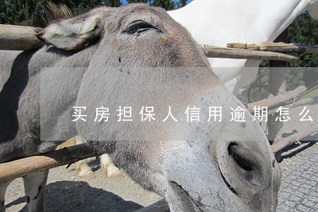 买房担保人信用逾期怎么办 买房担保人信用逾期怎么办