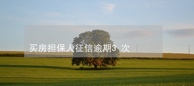 买房担保人征信逾期3次