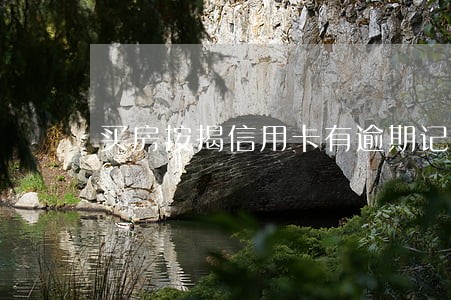买房按揭信用卡有逾期记录 买房按揭信用卡有逾期记录