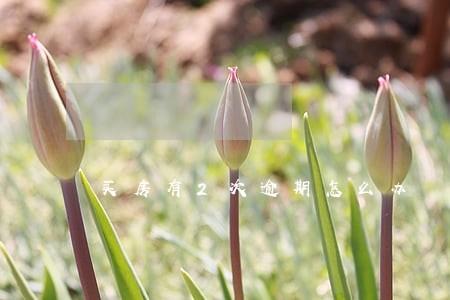 买房有2次逾期怎么办 买房有2次逾期怎么办
