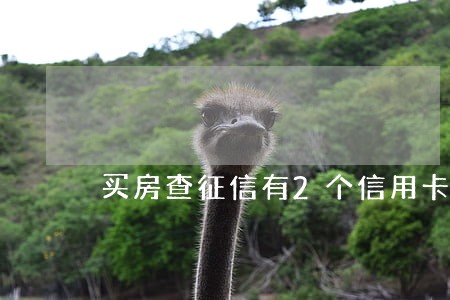 买房查征信有2个信用卡逾期 买房查征信有2个信用卡逾期