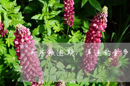 买房款逾期1年违约金多少 买房款逾期1年违约金多少