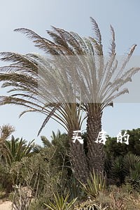 买房的要求是2年之内无逾期 买房的要求是2年之内无逾期