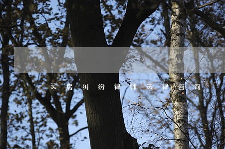 买房纠纷律师法律咨询 买房纠纷律师法律咨询