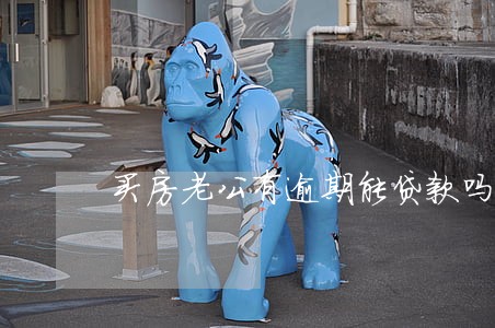 买房老公有逾期能贷款吗 买房老公有逾期能贷款吗