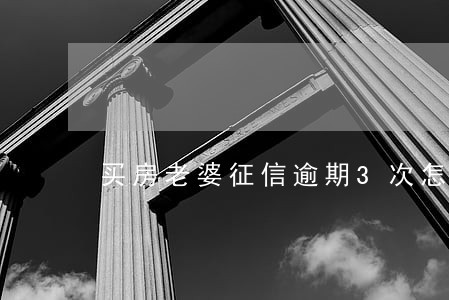 买房老婆征信逾期3次怎么办 买房老婆征信逾期3次怎么办