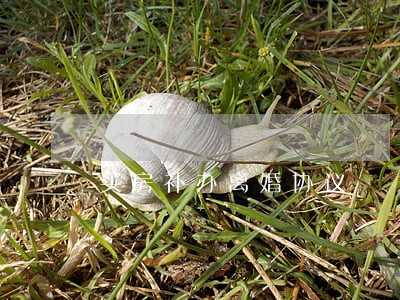 买房补办离婚协议 买房补办离婚协议