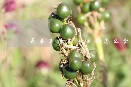 买房负债高无逾期怎么贷款 买房负债高无逾期怎么贷款