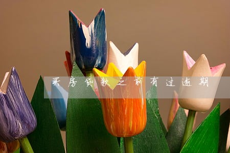 买房贷款之前有过逾期 买房贷款之前有过逾期