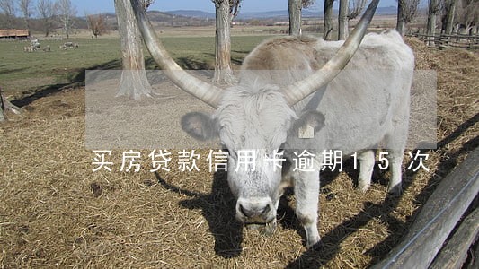 买房贷款信用卡逾期15次 买房贷款信用卡逾期15次