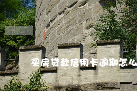 买房贷款信用卡逾期怎么办