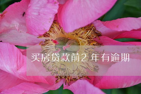 买房贷款前2年有逾期 买房贷款前2年有逾期