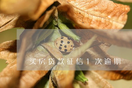 买房贷款征信1次逾期