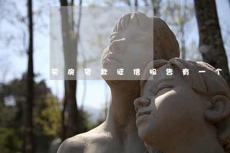 买房贷款征信报告有一个逾期 买房贷款征信报告有一个逾期