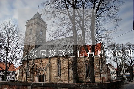 买房贷款征信有蚂蚁逾期