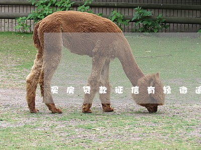买房贷款征信有轻微逾期贷吗 买房贷款征信有轻微逾期贷吗