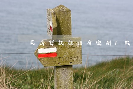 买房贷款征信有逾期1次 买房贷款征信有逾期1次