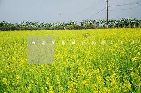 买房贷款征信逾期16次 买房贷款征信逾期16次
