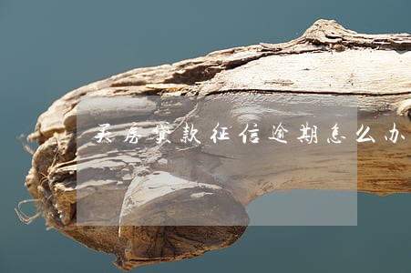 买房贷款征信逾期怎么办 买房贷款征信逾期怎么办