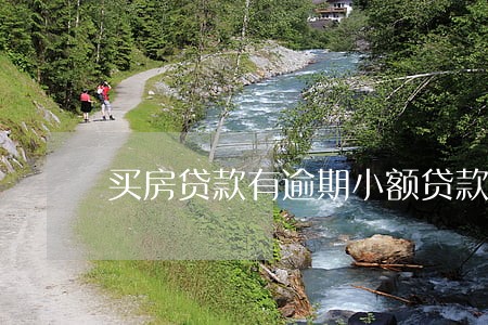 买房贷款有逾期小额贷款